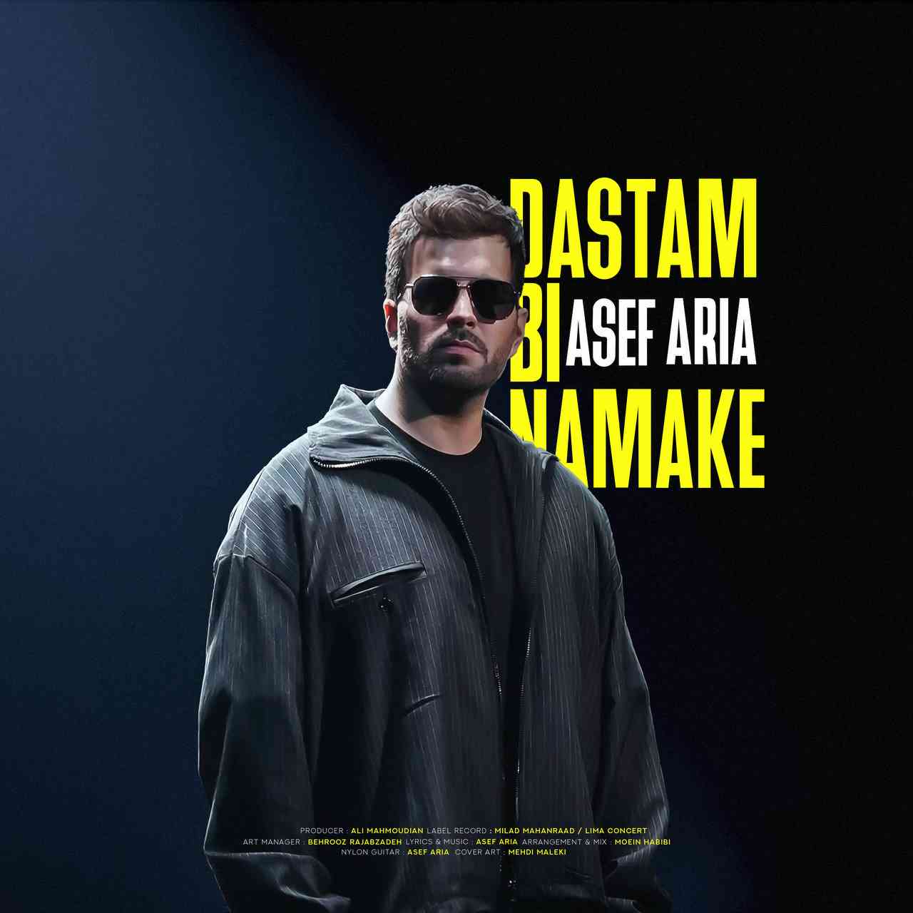 Dastam Bi Namake