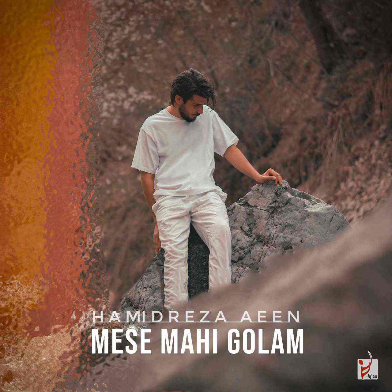 Mesle Mahi Golam
