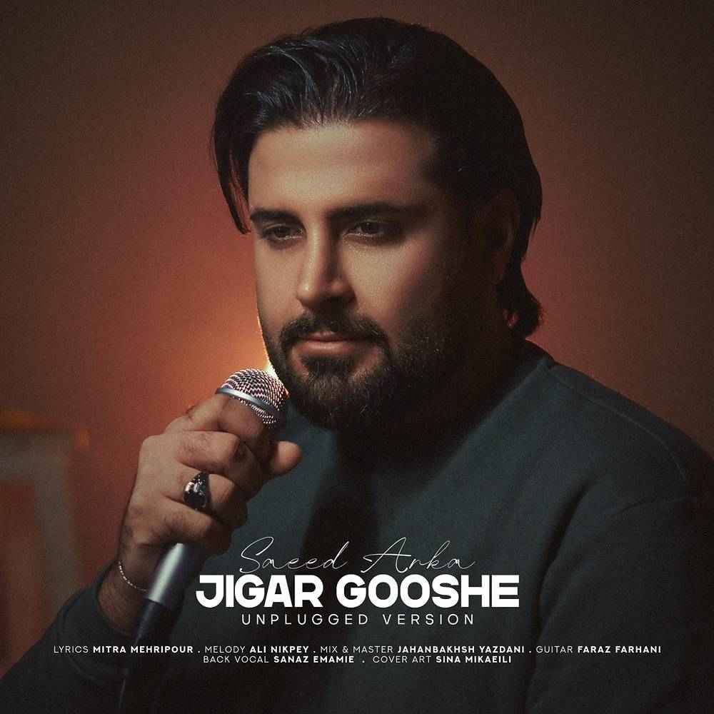 Jigar Gooshe