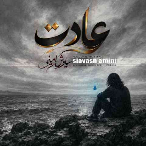 عادت