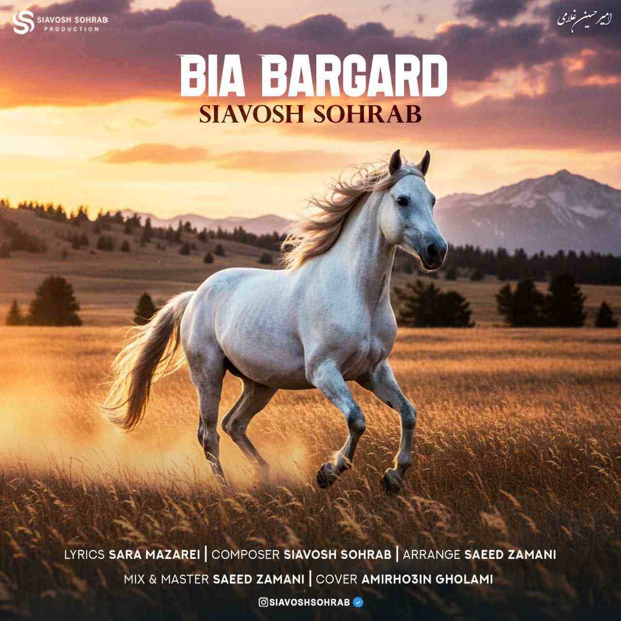 Bia Bargard