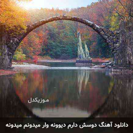 hadi_rahimi_dosesh_daram_divonevar